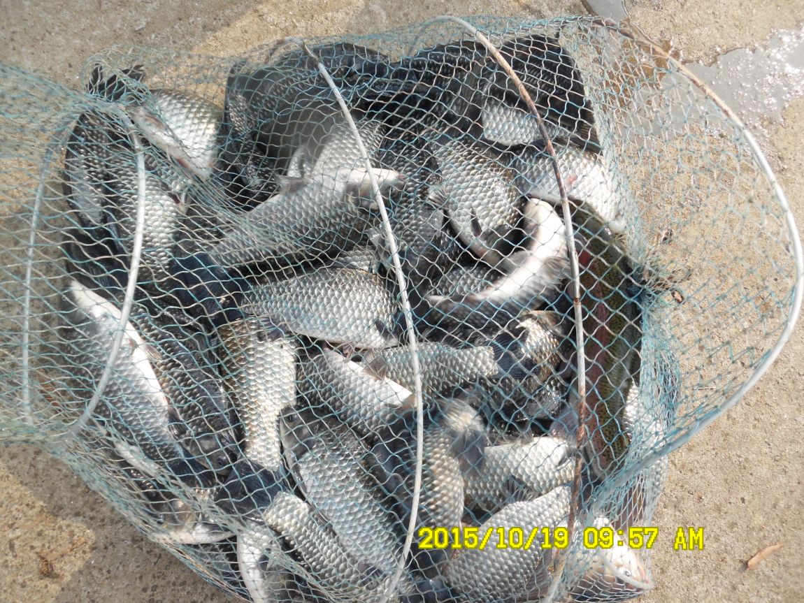 10¿ù17ÀÏ~19ÀÏ 016.JPG