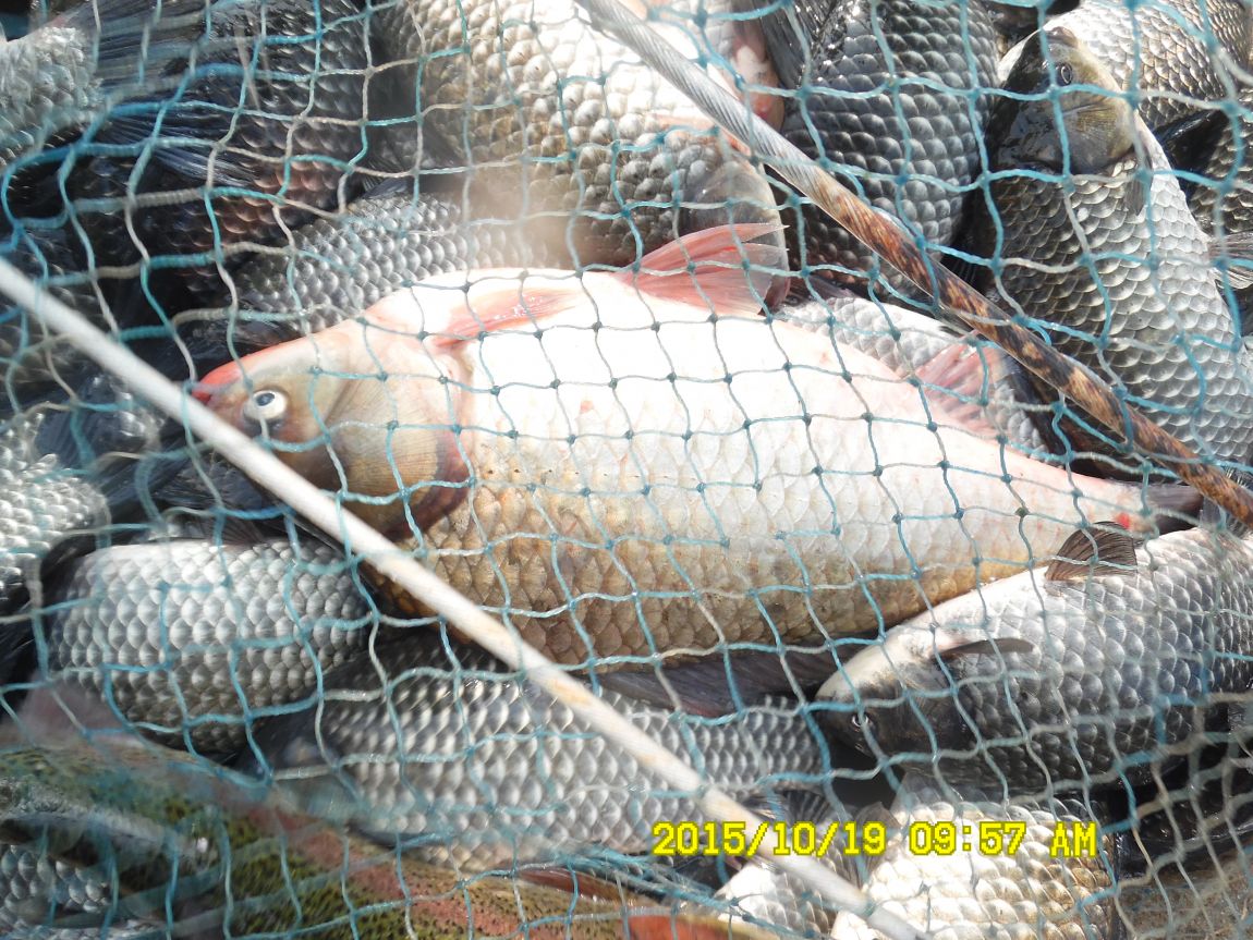 10¿ù17ÀÏ~19ÀÏ 017.JPG