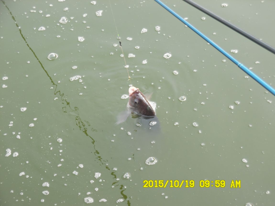 10¿ù17ÀÏ~19ÀÏ 018.JPG