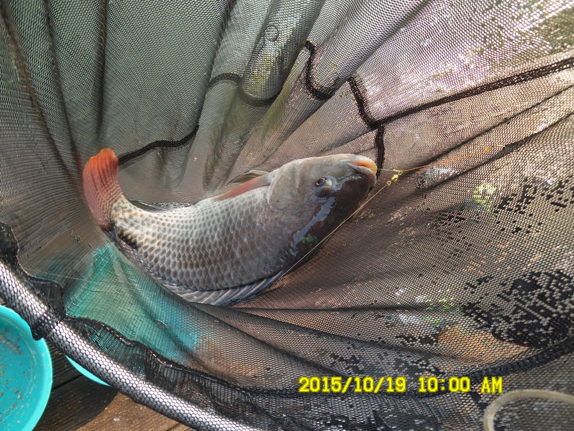 10¿ù17ÀÏ~19ÀÏ 020.JPG