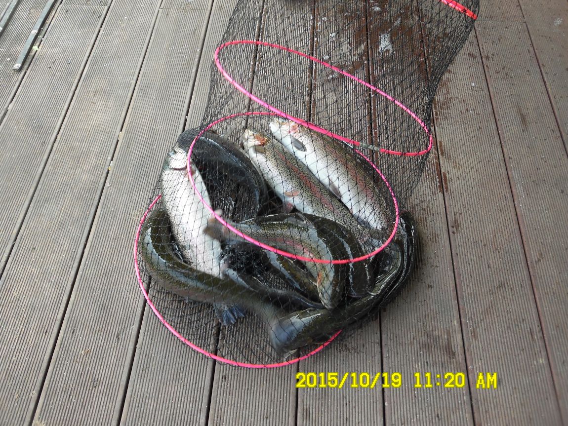 10¿ù17ÀÏ~19ÀÏ 023.JPG