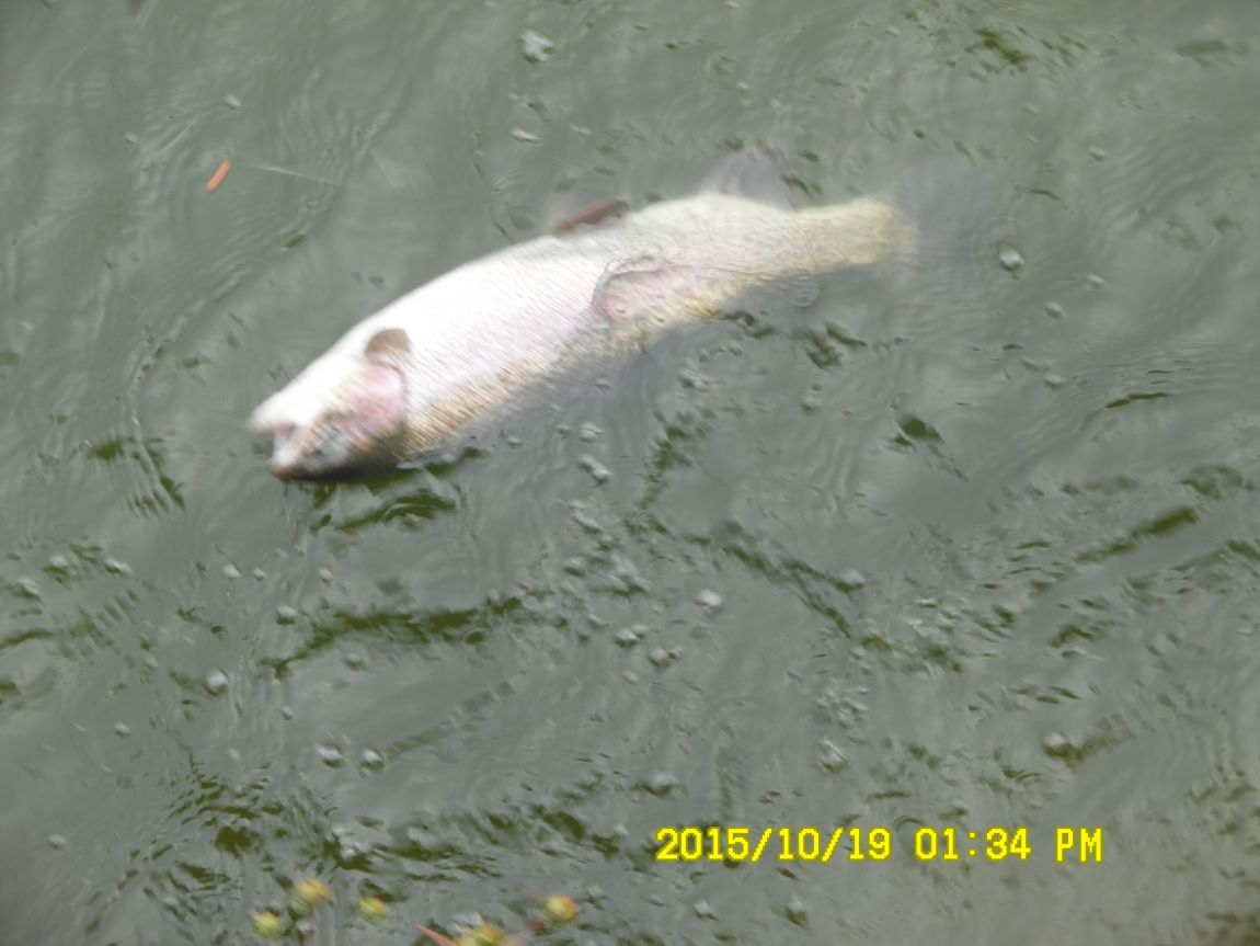 10¿ù17ÀÏ~19ÀÏ 025.JPG