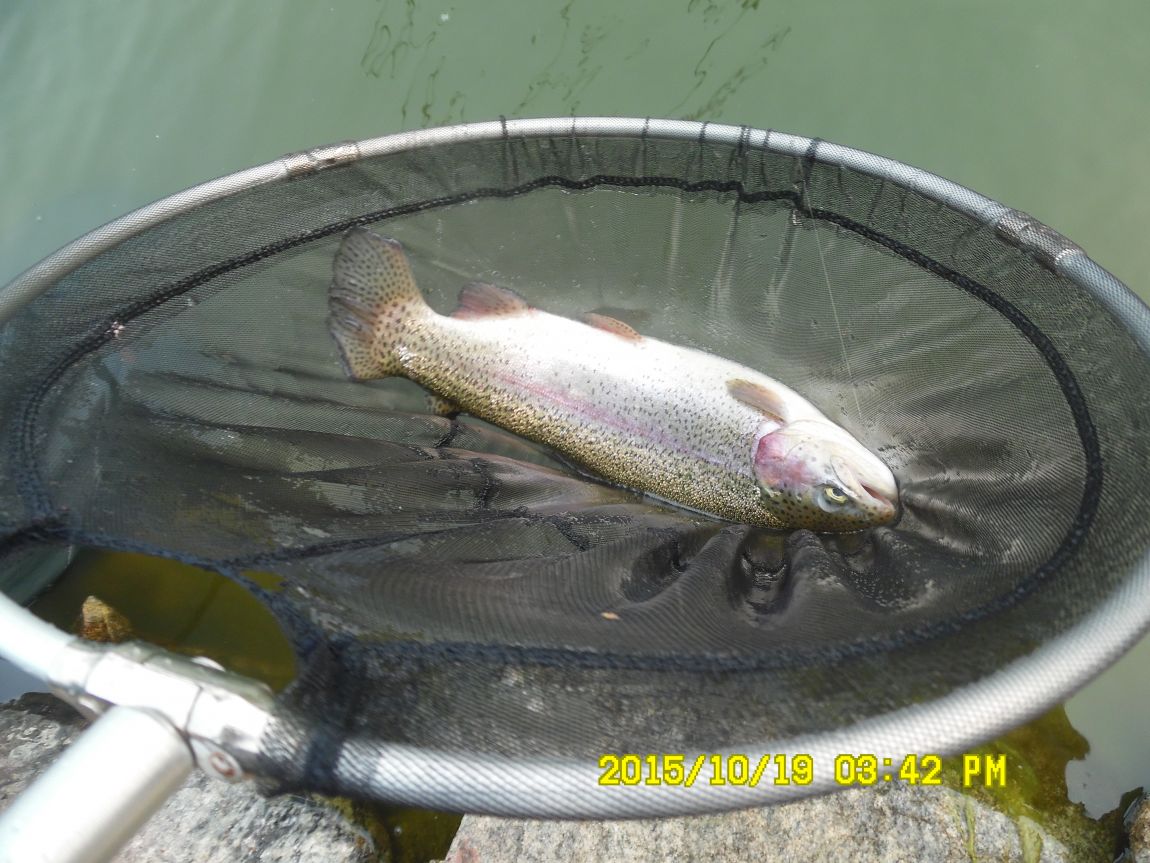 10¿ù17ÀÏ~19ÀÏ 030.JPG