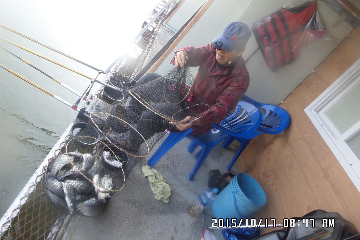 SAM_1009.JPG