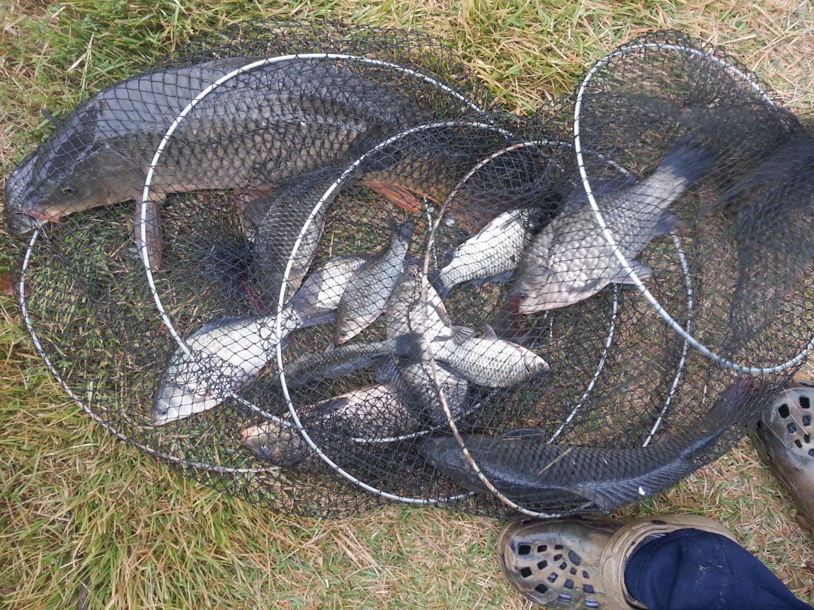 20151018_081113.jpg