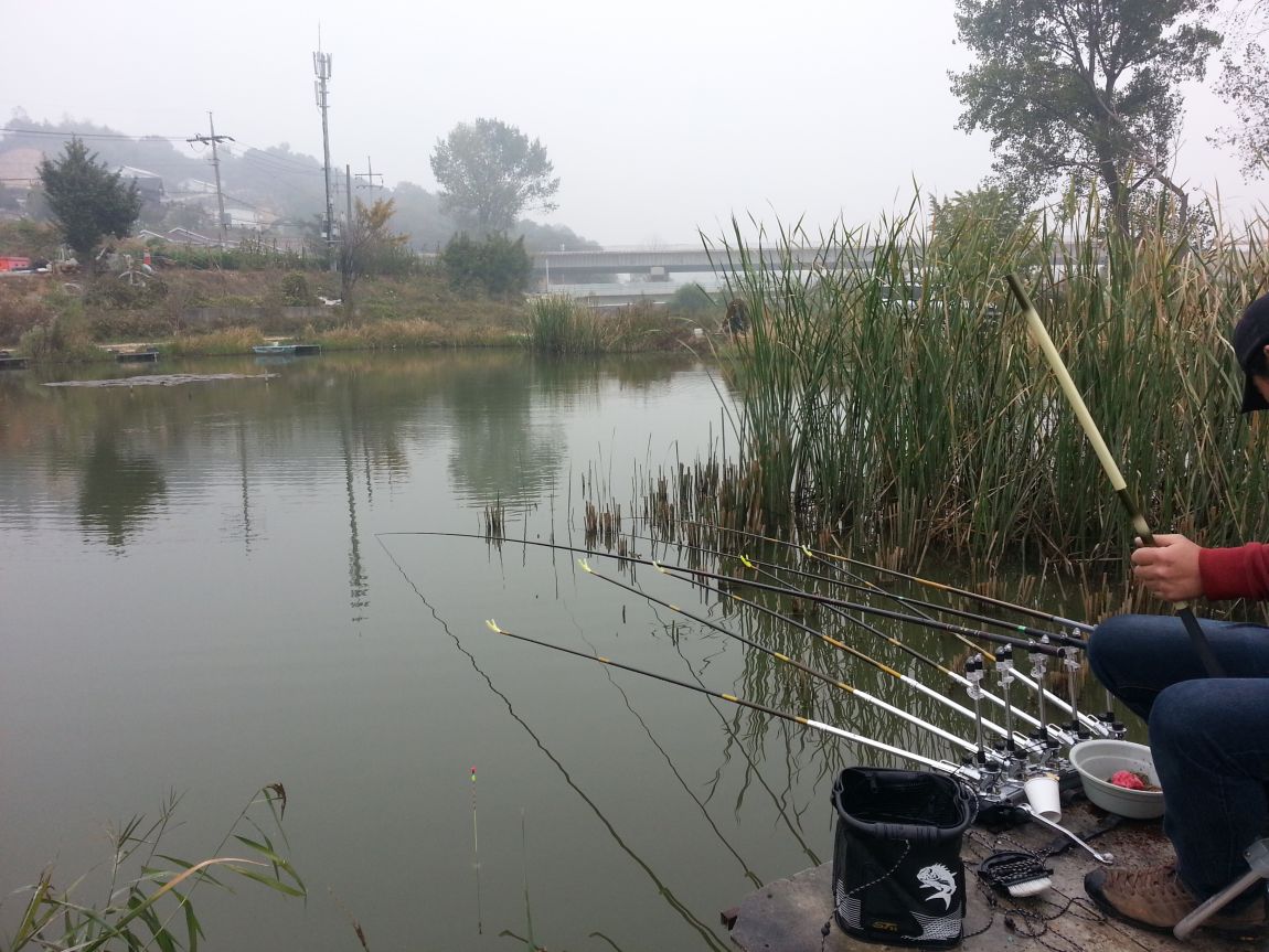 20151018_095820.jpg