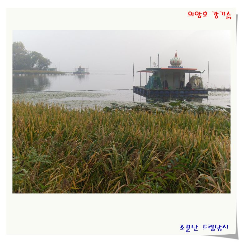 SL381147.jpg