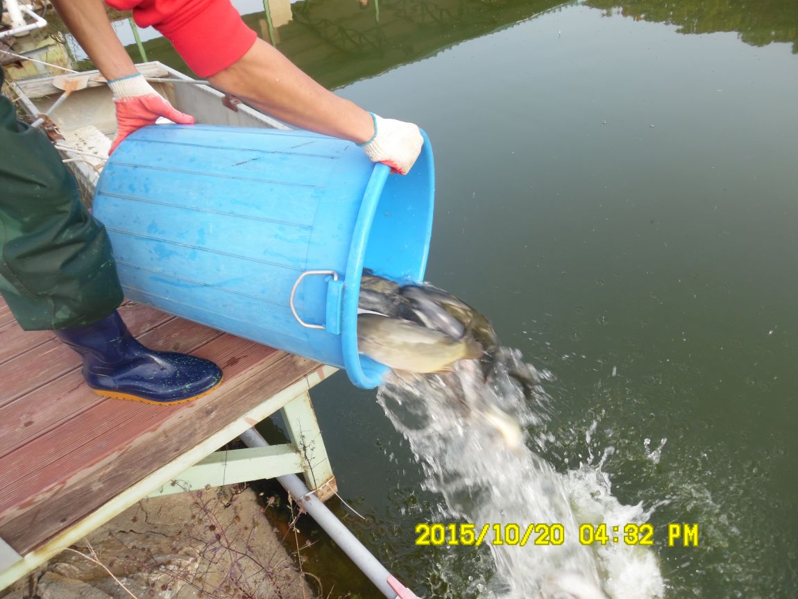 10��19��~21�� 002.JPG