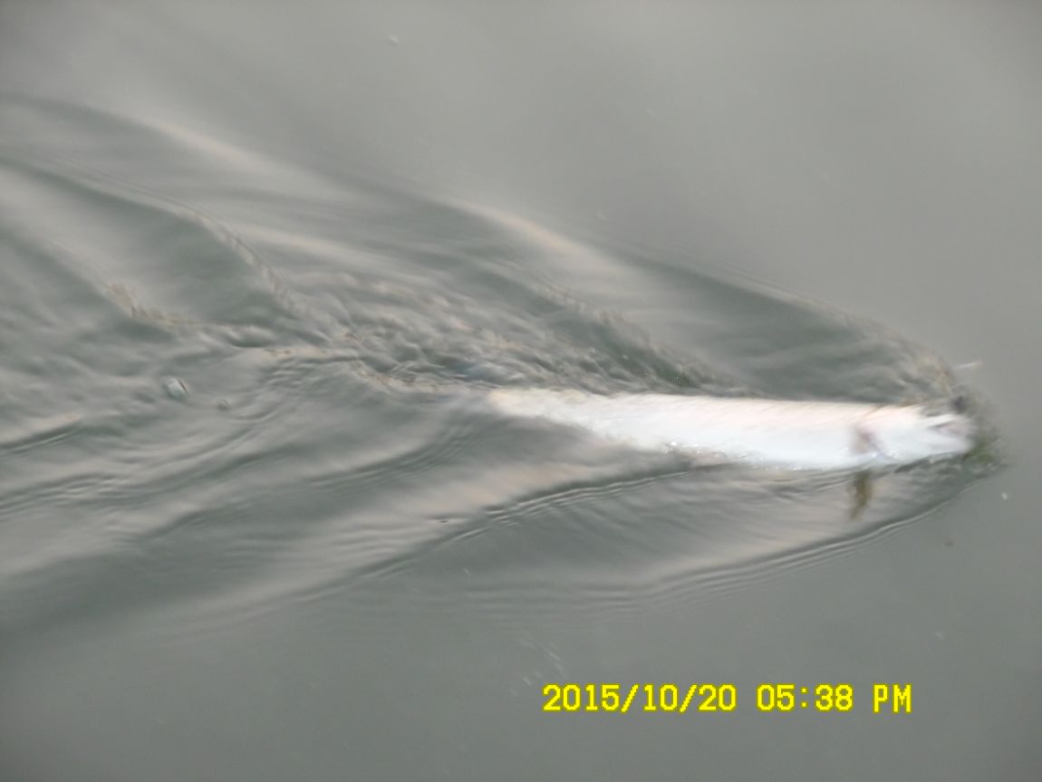 10��19��~21�� 010.JPG