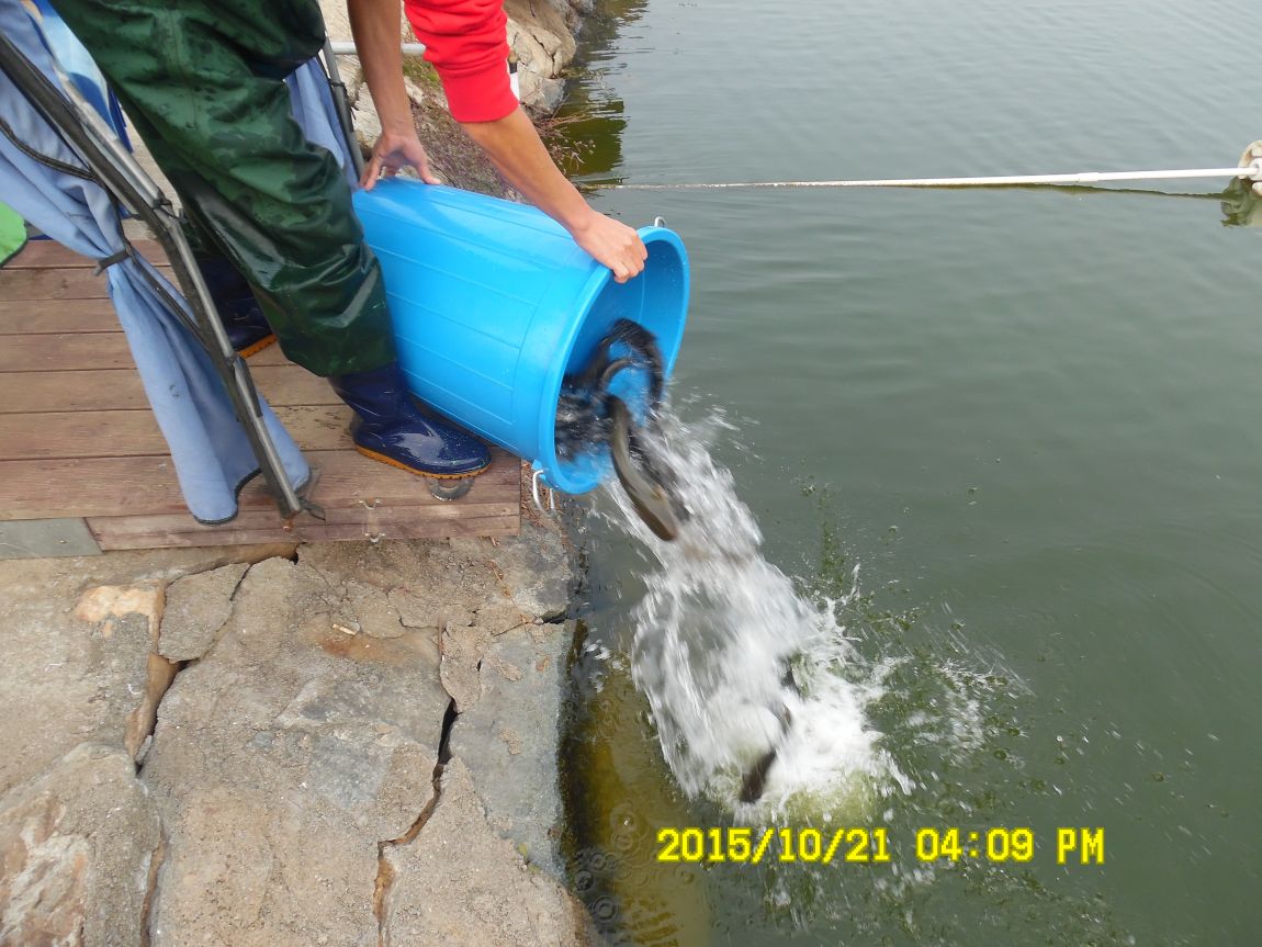 10��19��~21�� 021.JPG