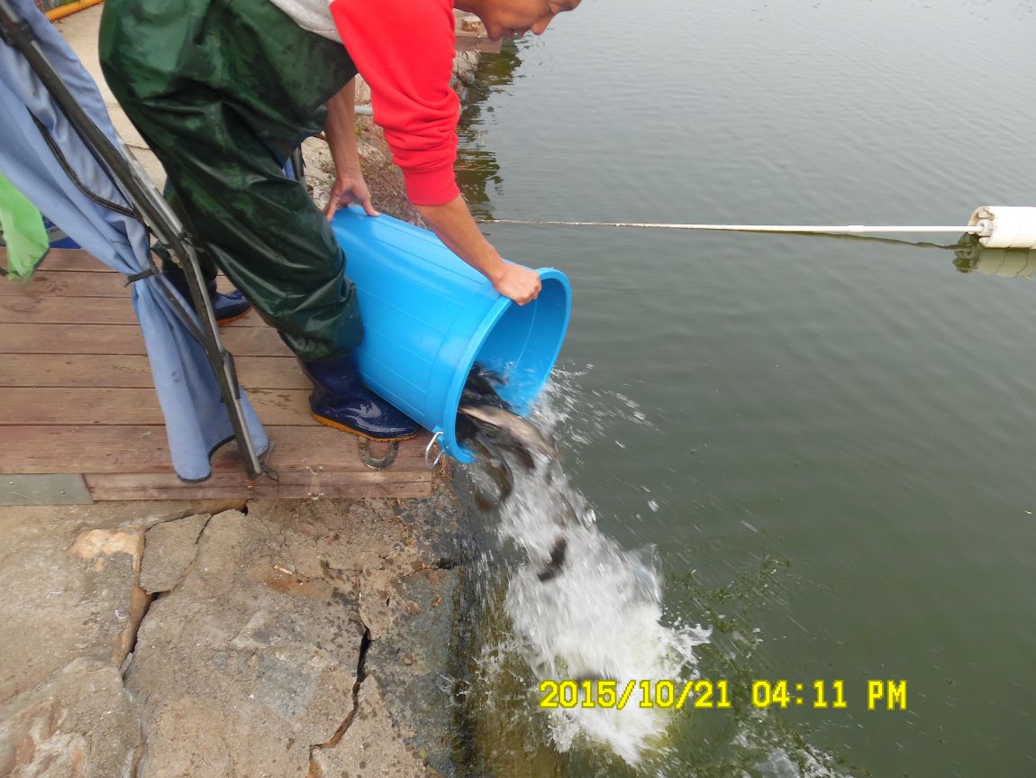 10��19��~21�� 022.JPG