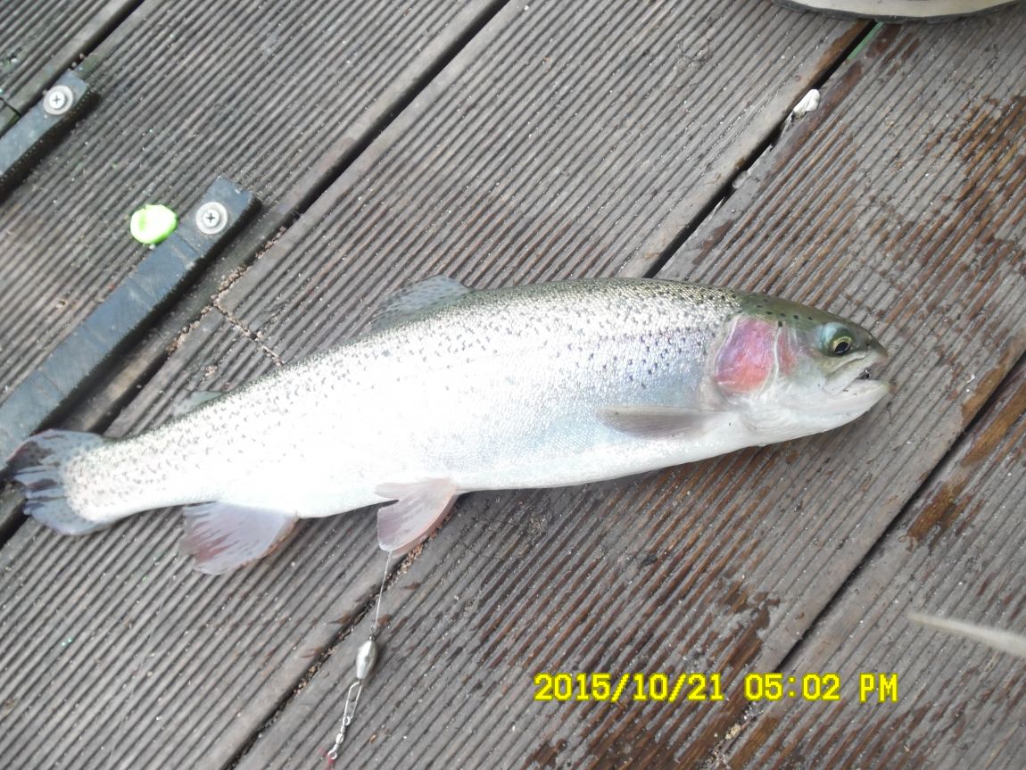 10��19��~21�� 028.JPG