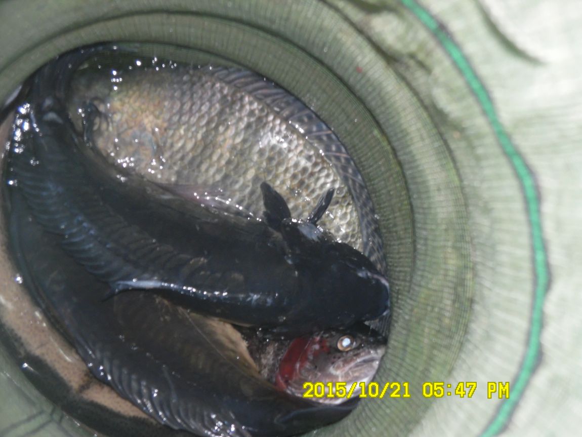 10��19��~21�� 030.JPG