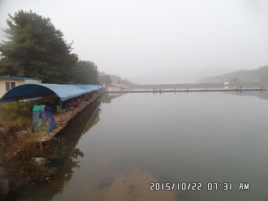 SAM_0195.JPG