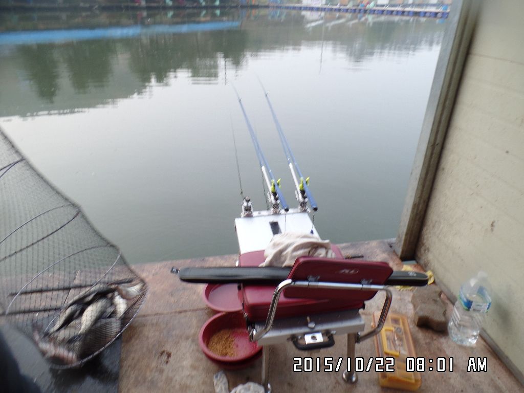 SAM_0206.JPG