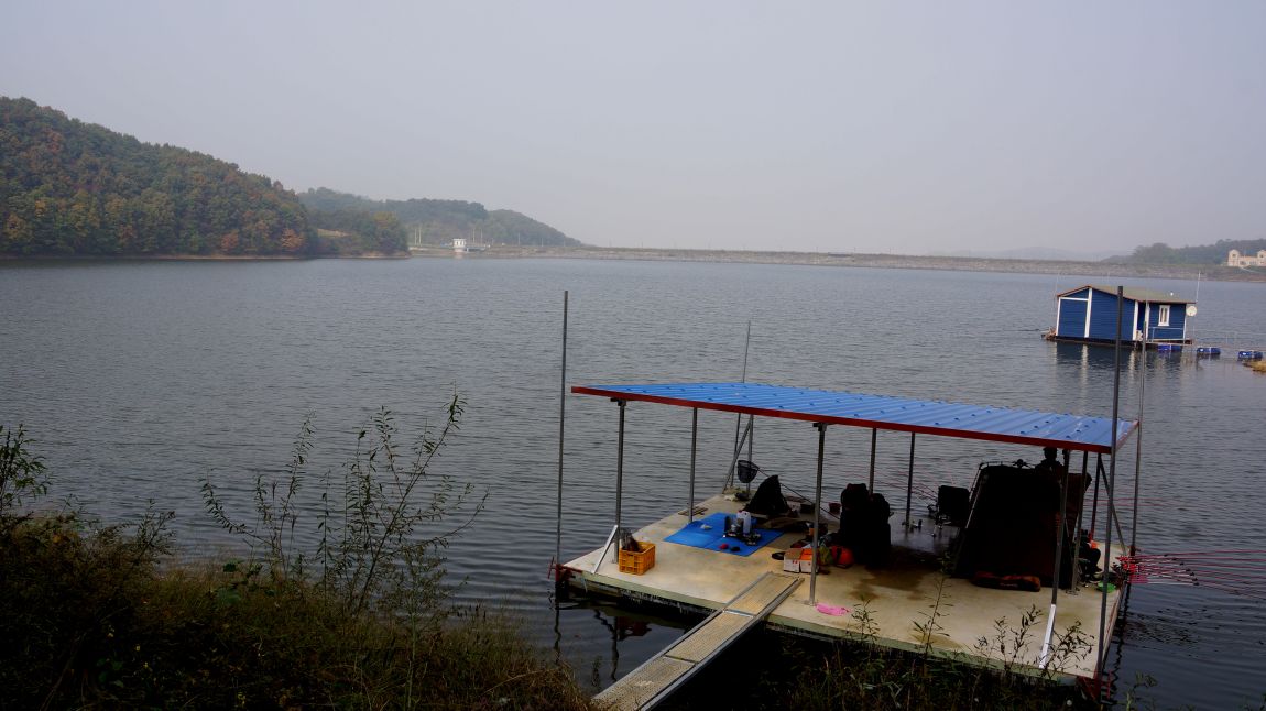 DSC01629-d.jpg