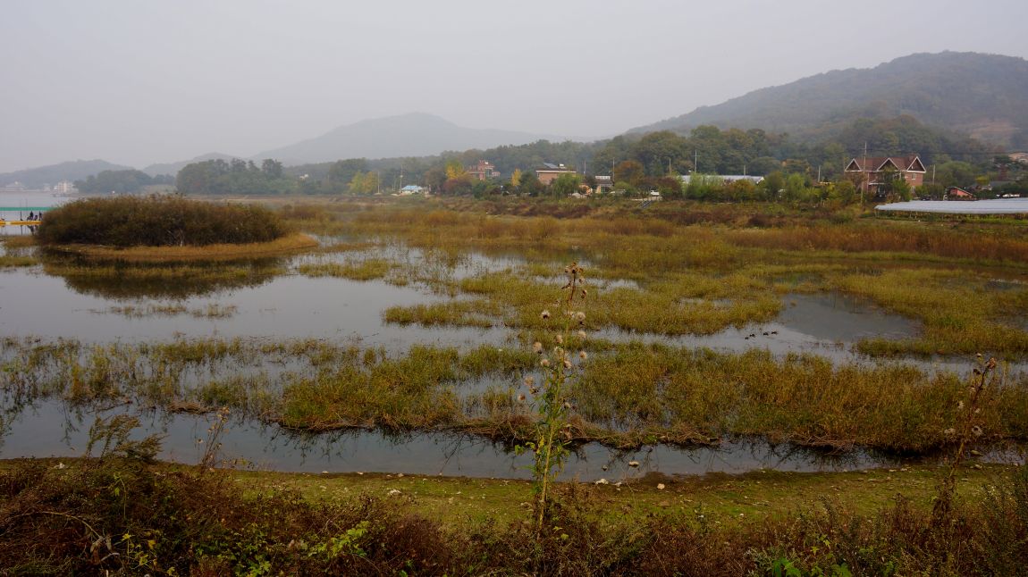 DSC01630-d.jpg