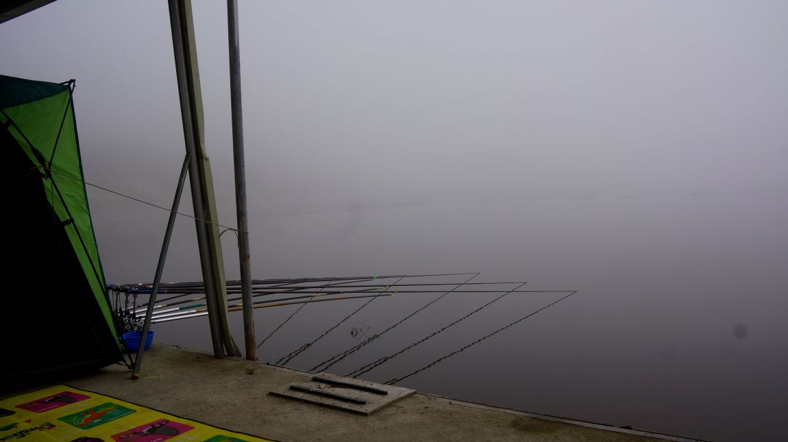 DSC01635-d.jpg