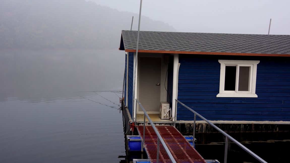 DSC01639-d.jpg