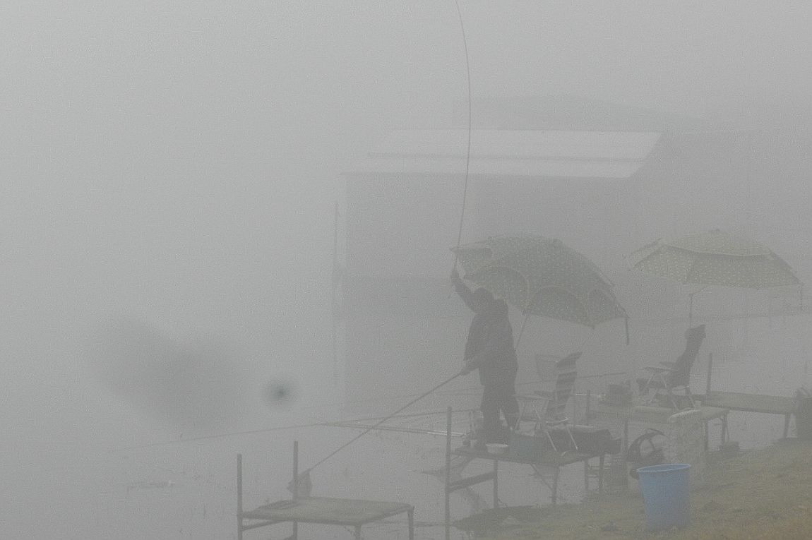 009.JPG