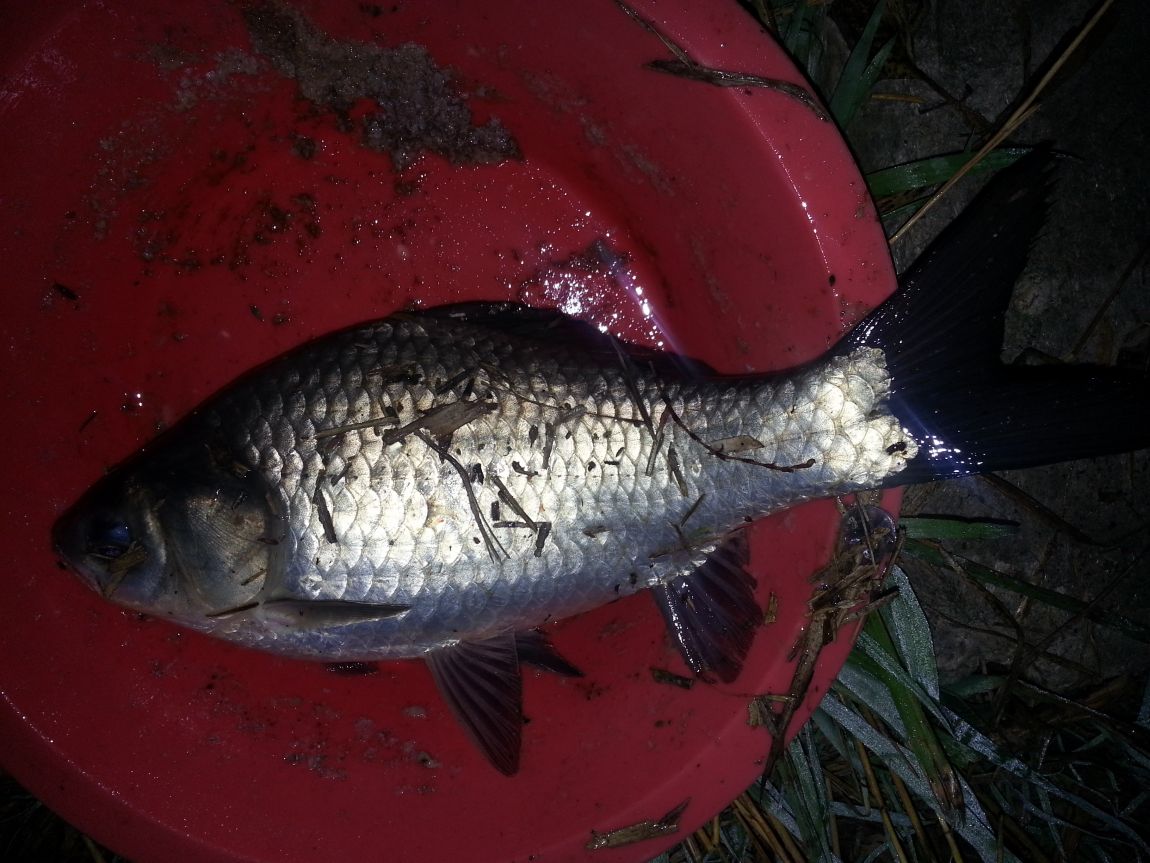 20151021_224228.jpg
