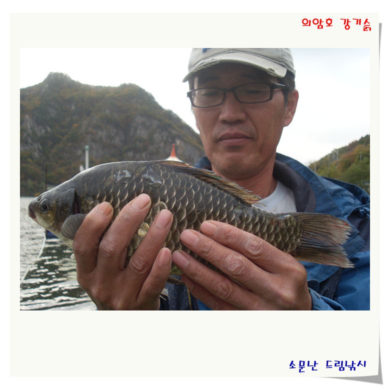 SL381151.jpg