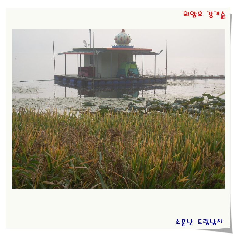 SL381135.jpg