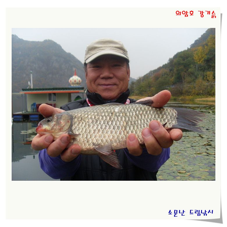 SL381161.jpg
