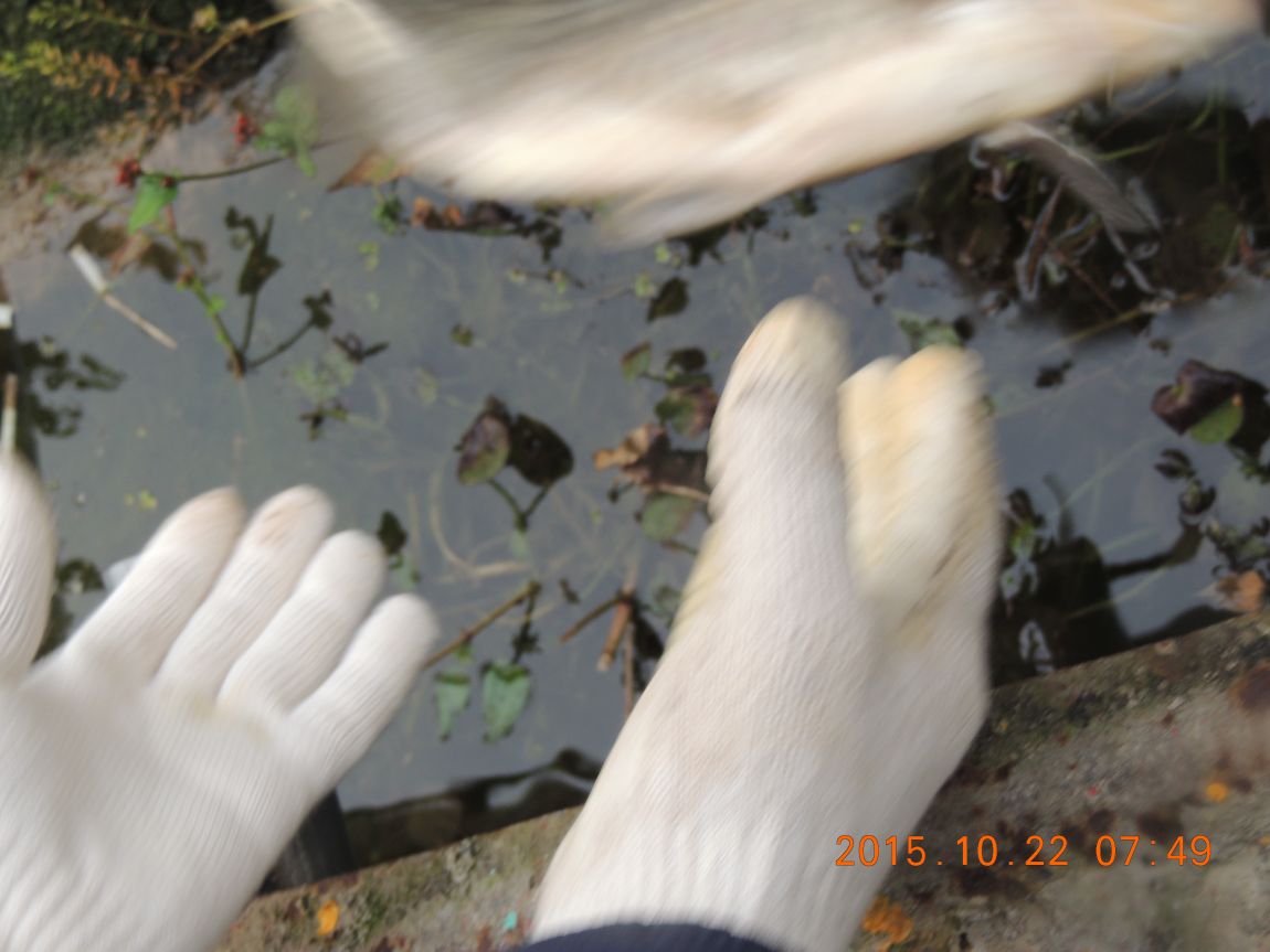 014.JPG
