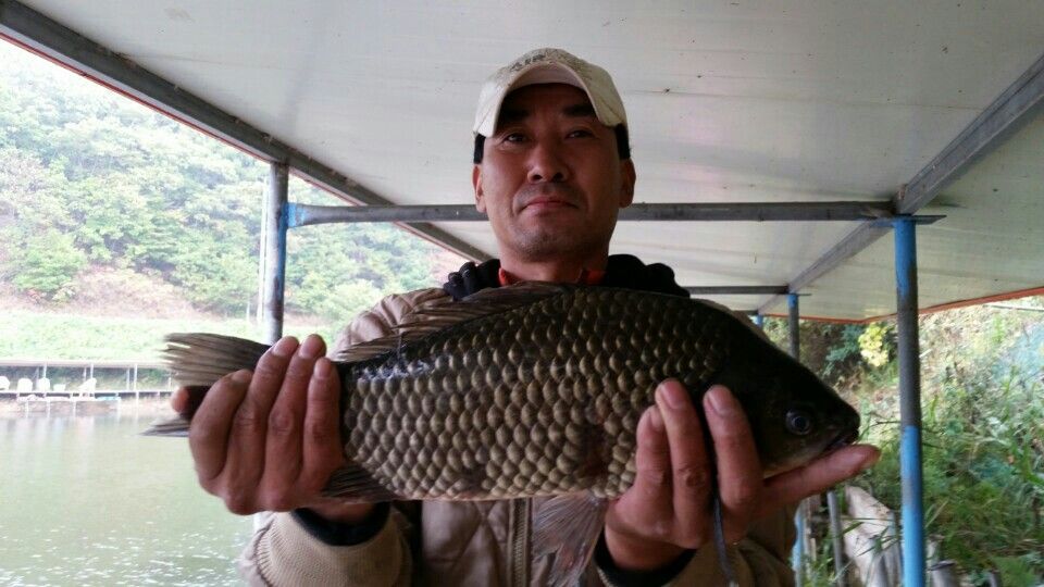 KakaoTalk_20151014_184002355.jpg