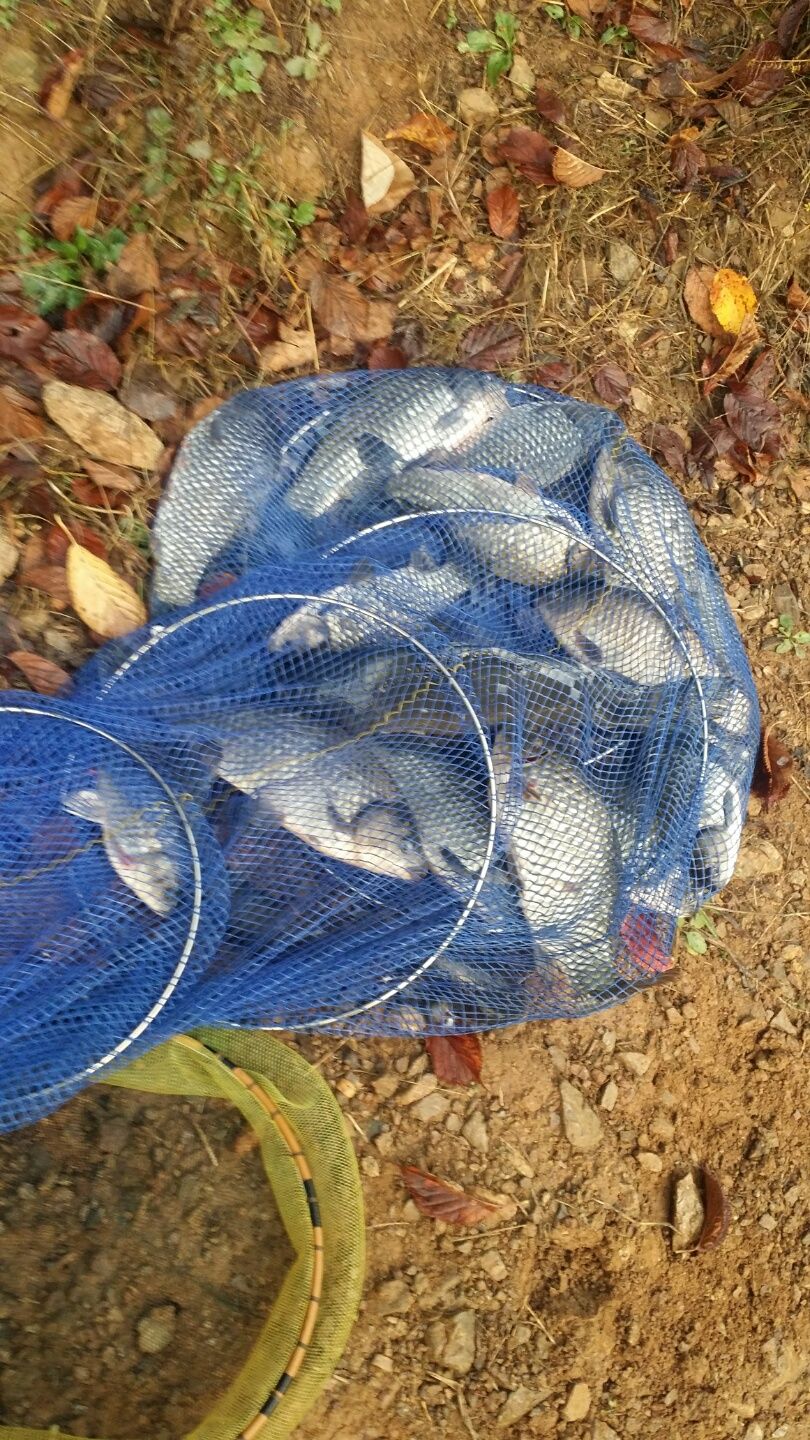 KakaoTalk_20151016_155828778.jpg