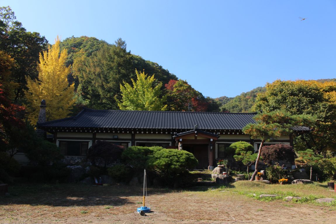 IMG_3317.JPG