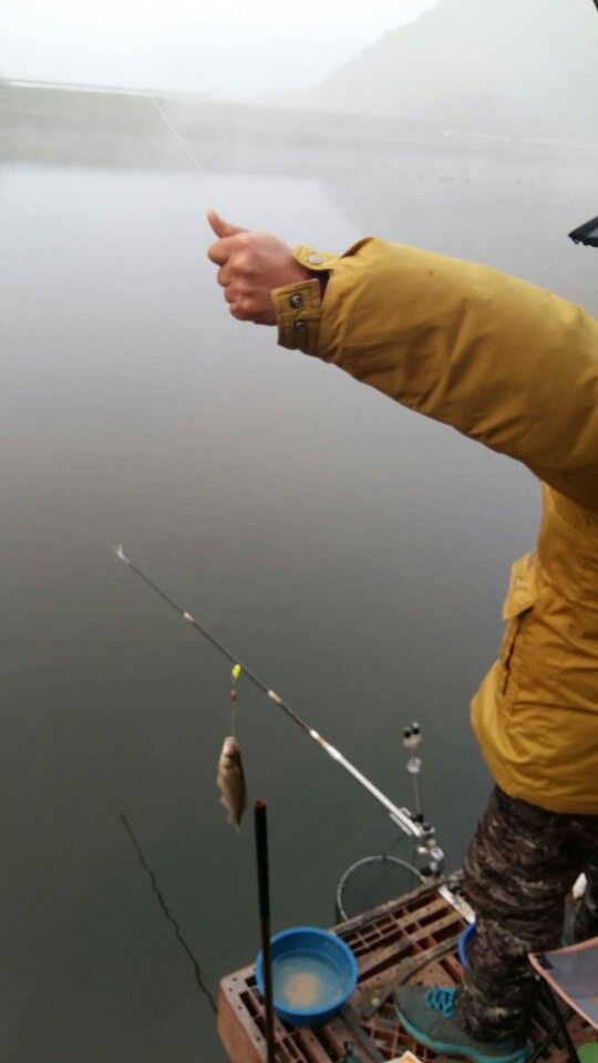 KakaoTalk_20151019_163828087.jpg