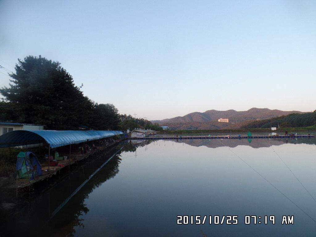 SAM_0253.JPG