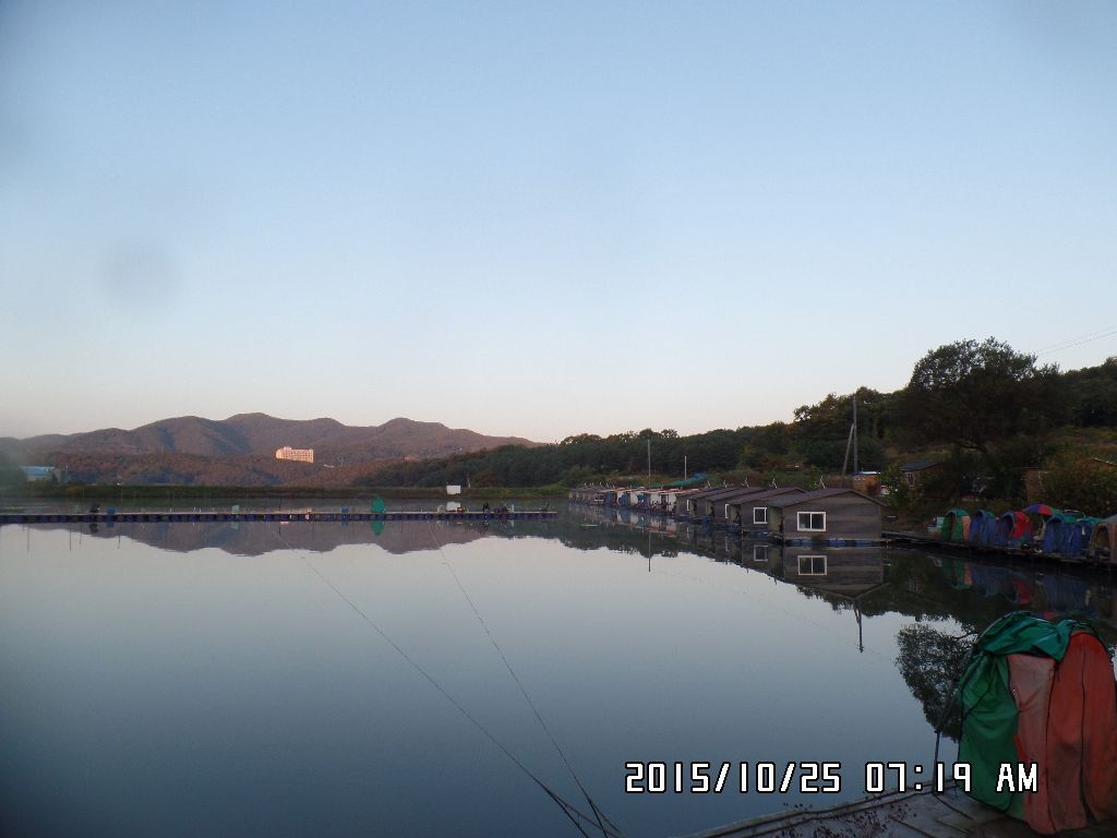 SAM_0254.JPG