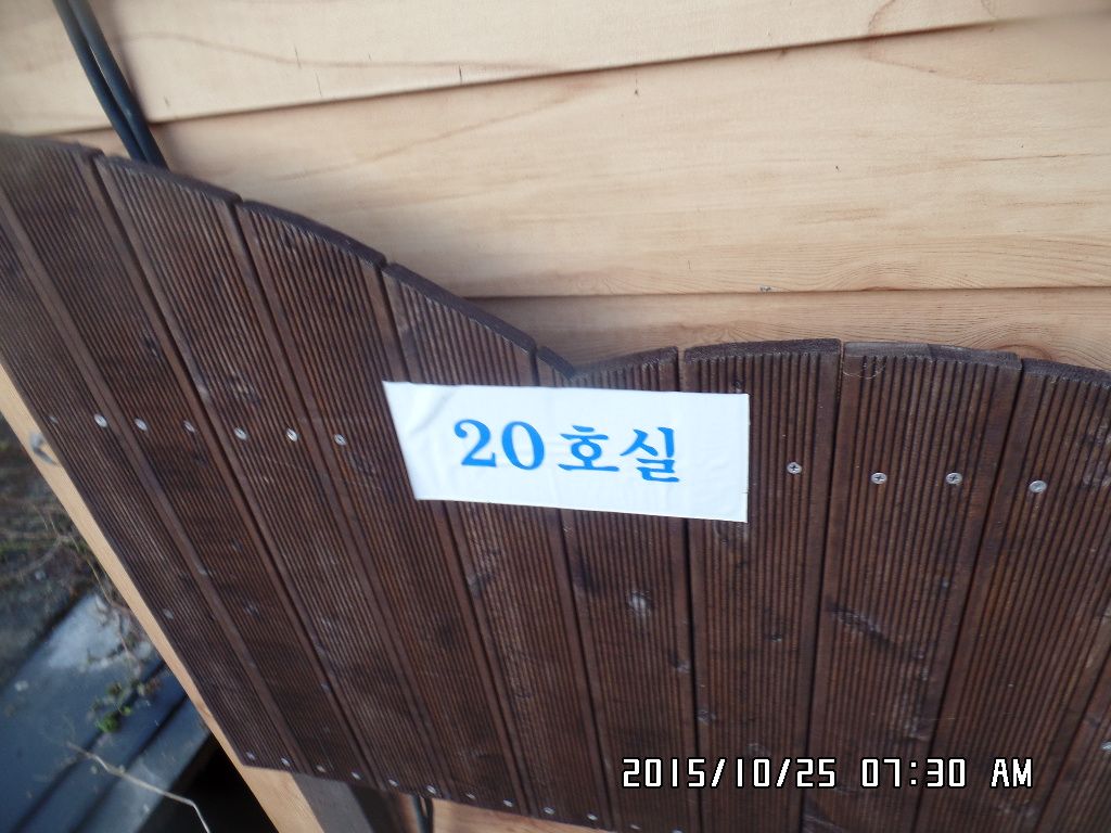 SAM_0268.JPG