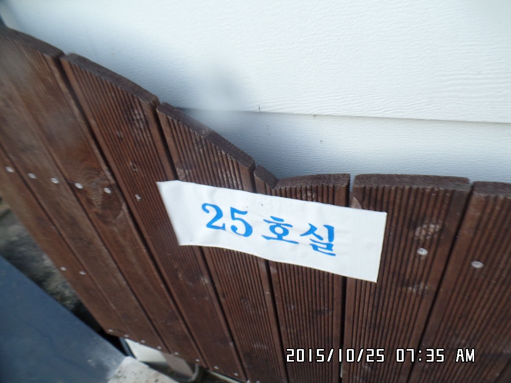 SAM_0278.JPG