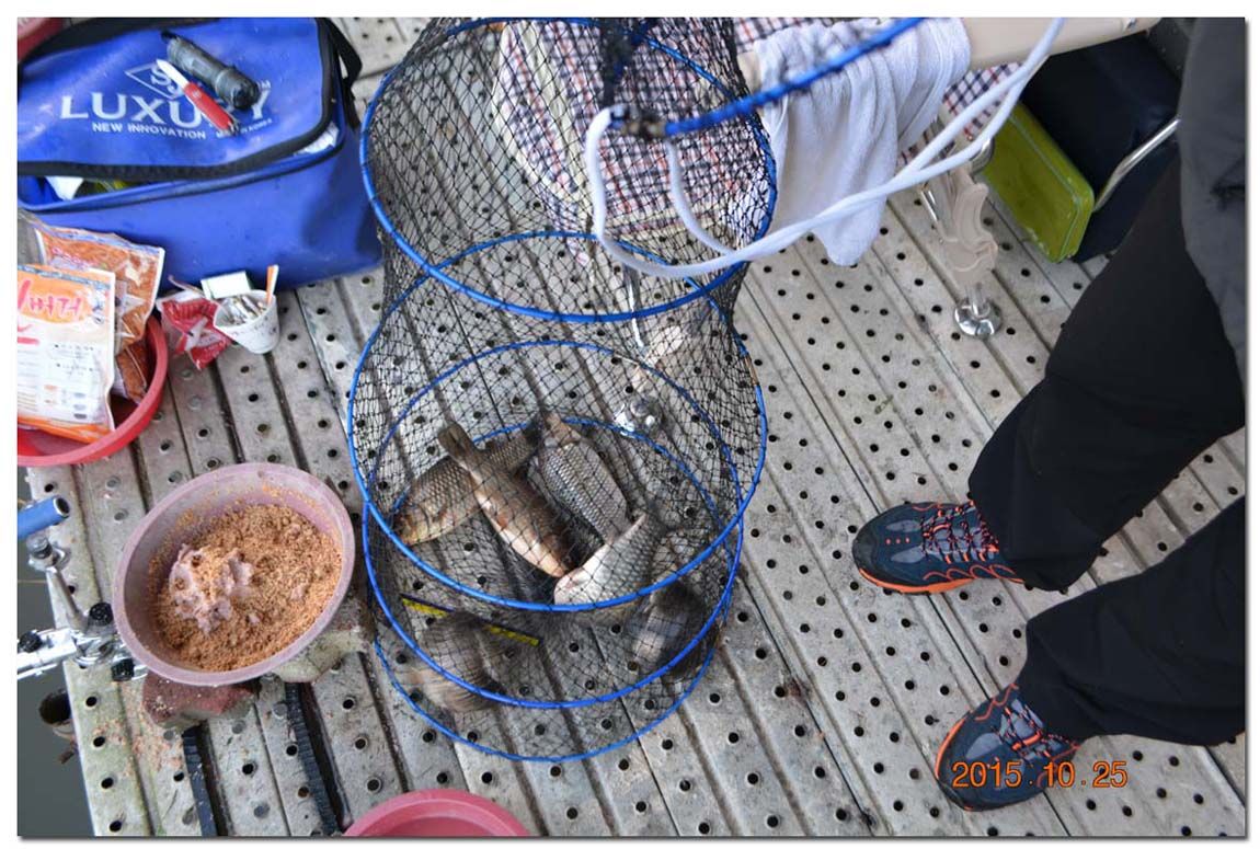 Untitled-1 copy 3.jpg