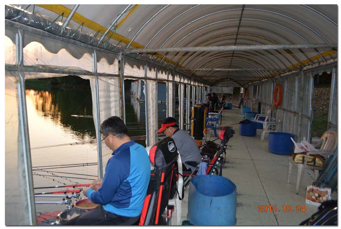 Untitled-1 copy 4.jpg