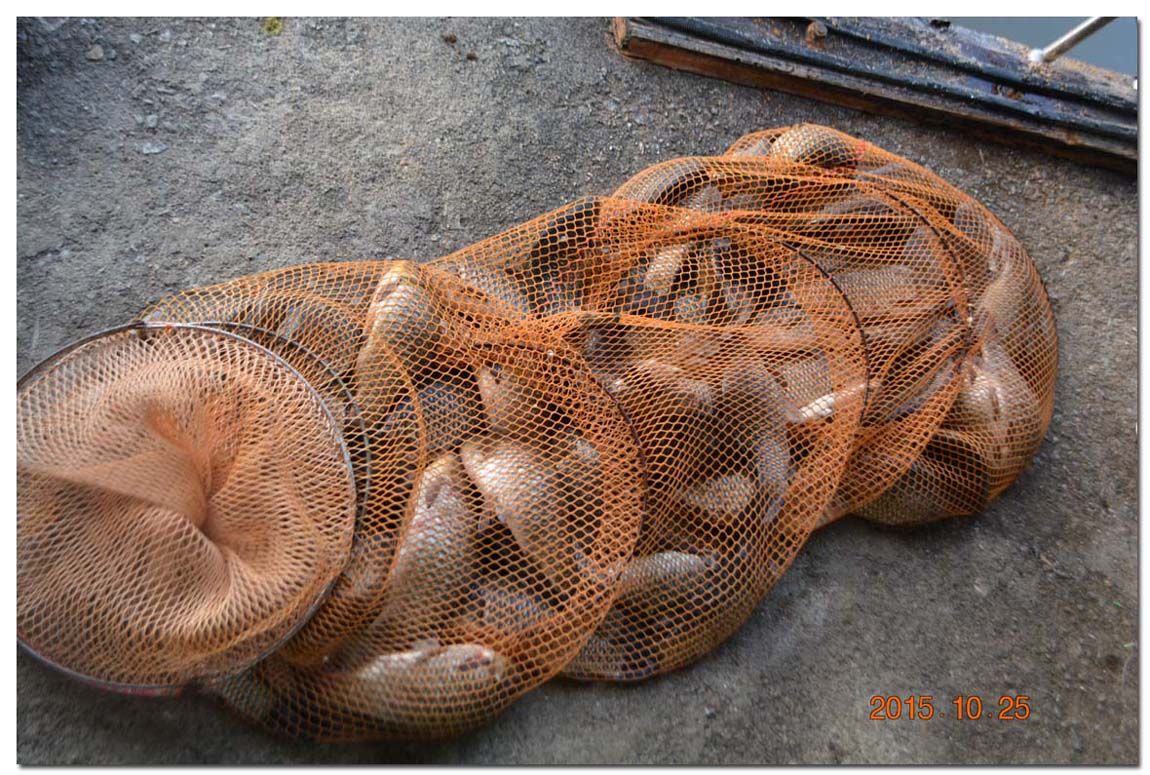 Untitled-1 copy 7.jpg