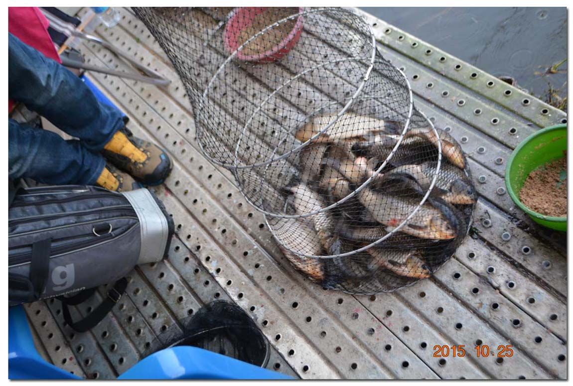 Untitled-1 copy 9.jpg