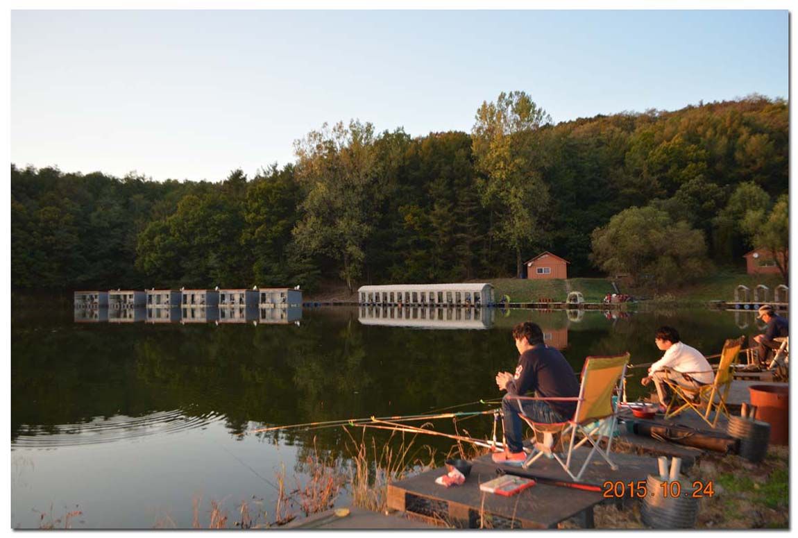 Untitled-1 copy 11.jpg