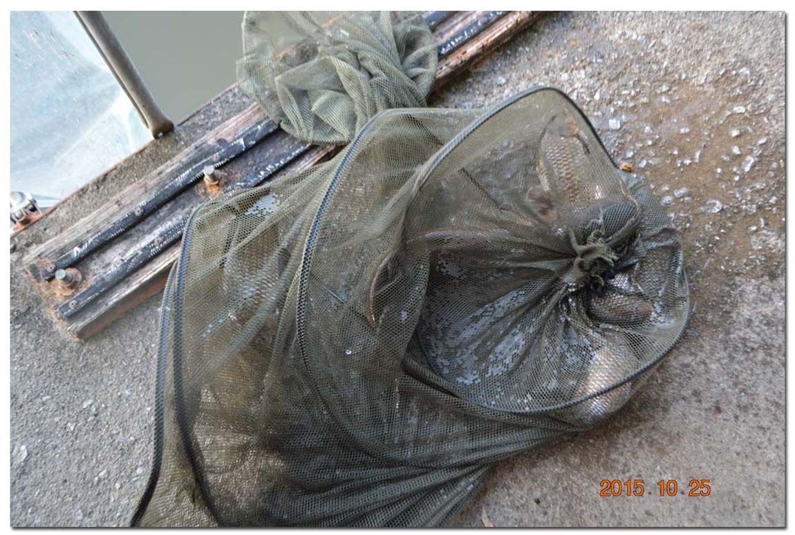 Untitled-1 copy 10.jpg