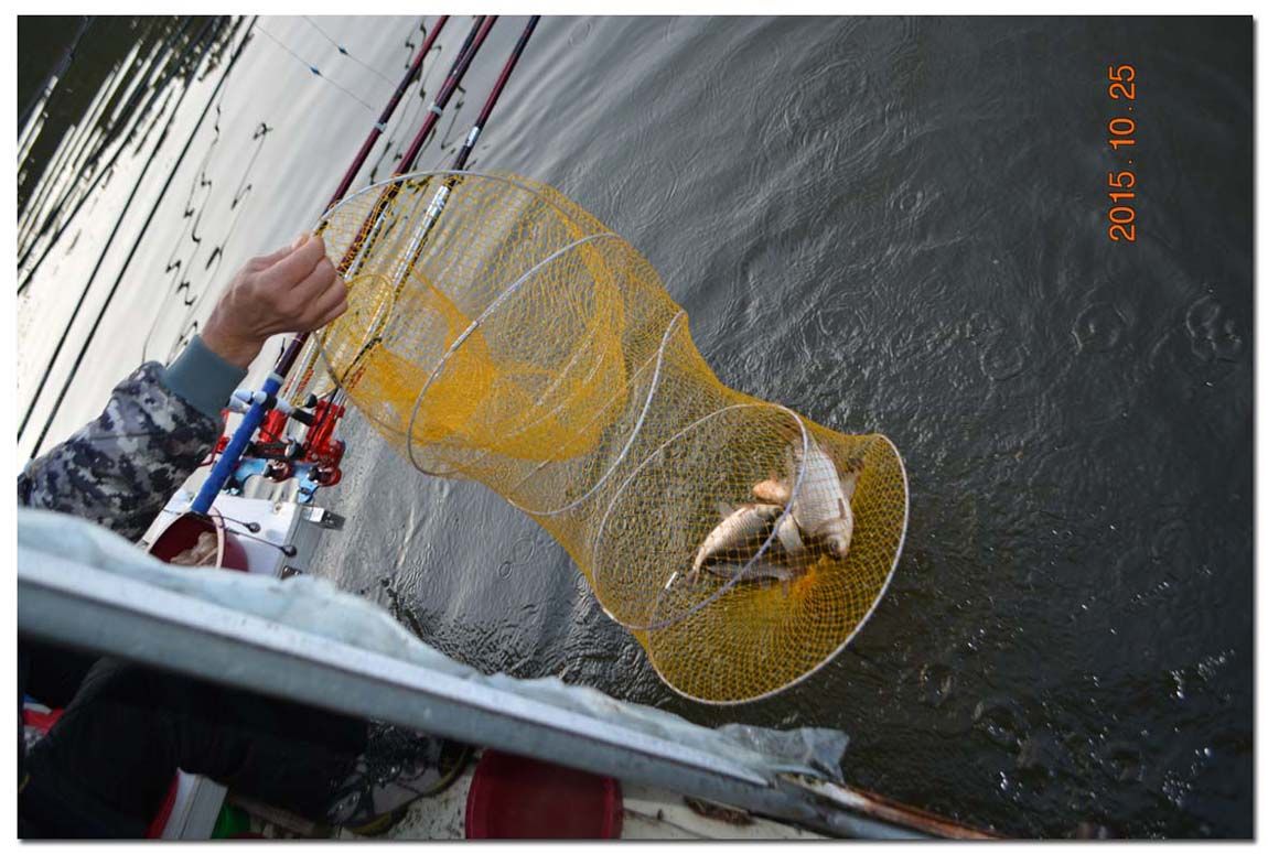 Untitled-1 copy 13.jpg