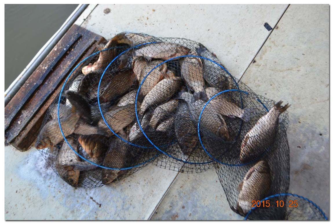 Untitled-1 copy 12.jpg