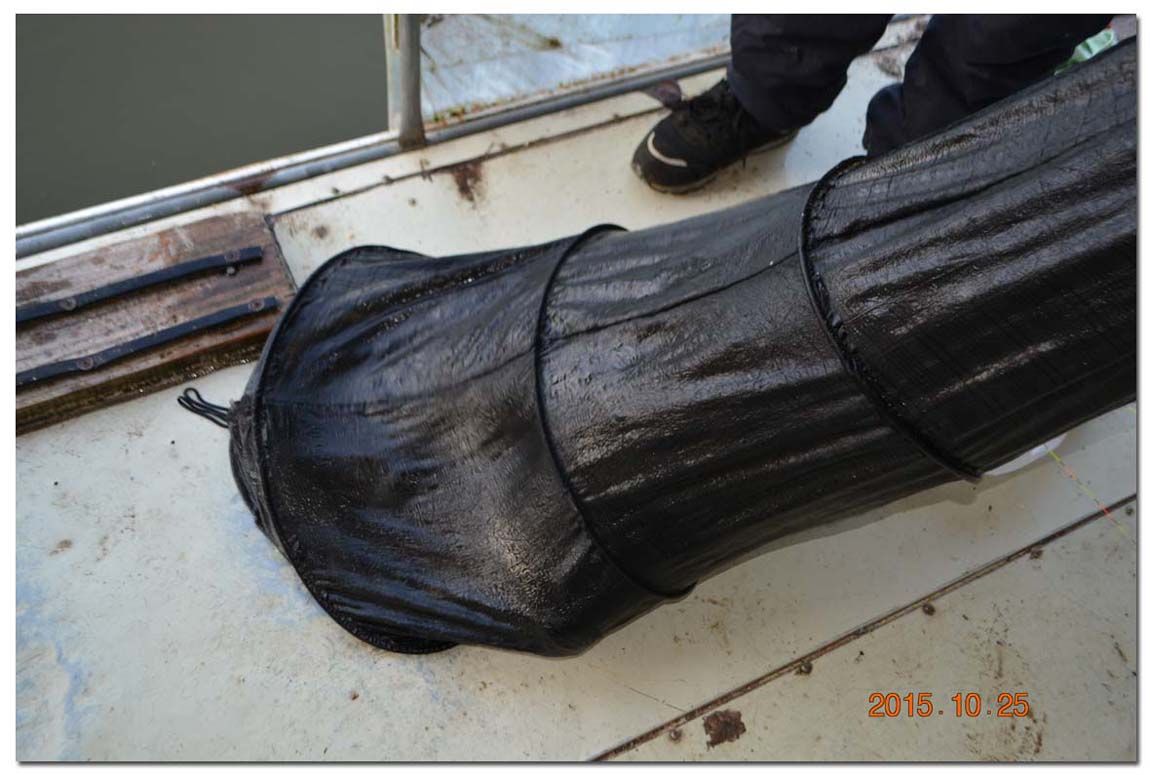 Untitled-1 copy 14.jpg