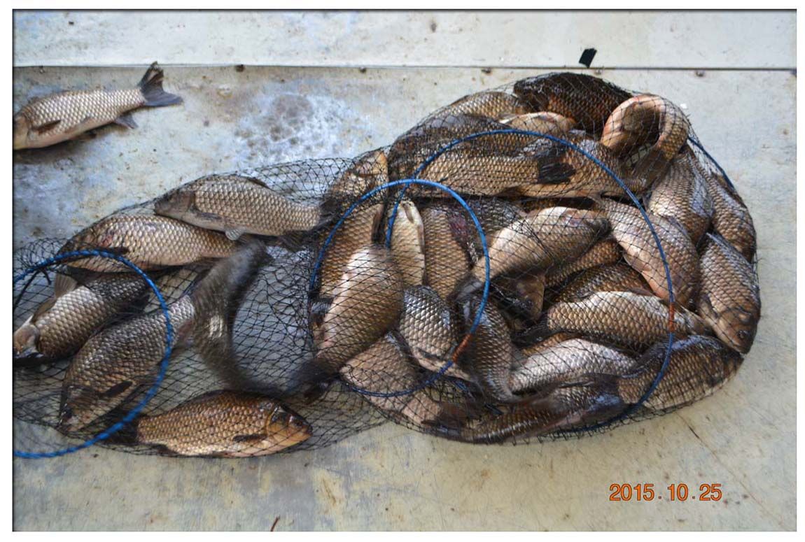 Untitled-1 copy 15.jpg