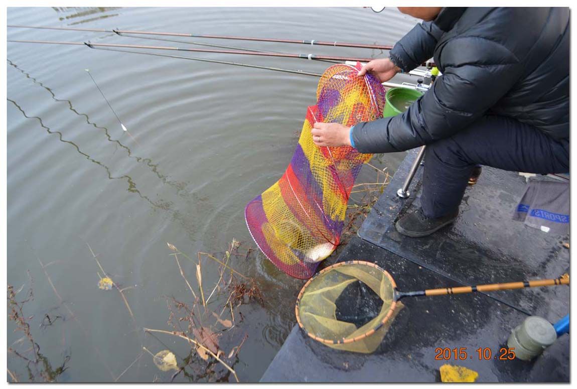 Untitled-1 copy 17.jpg