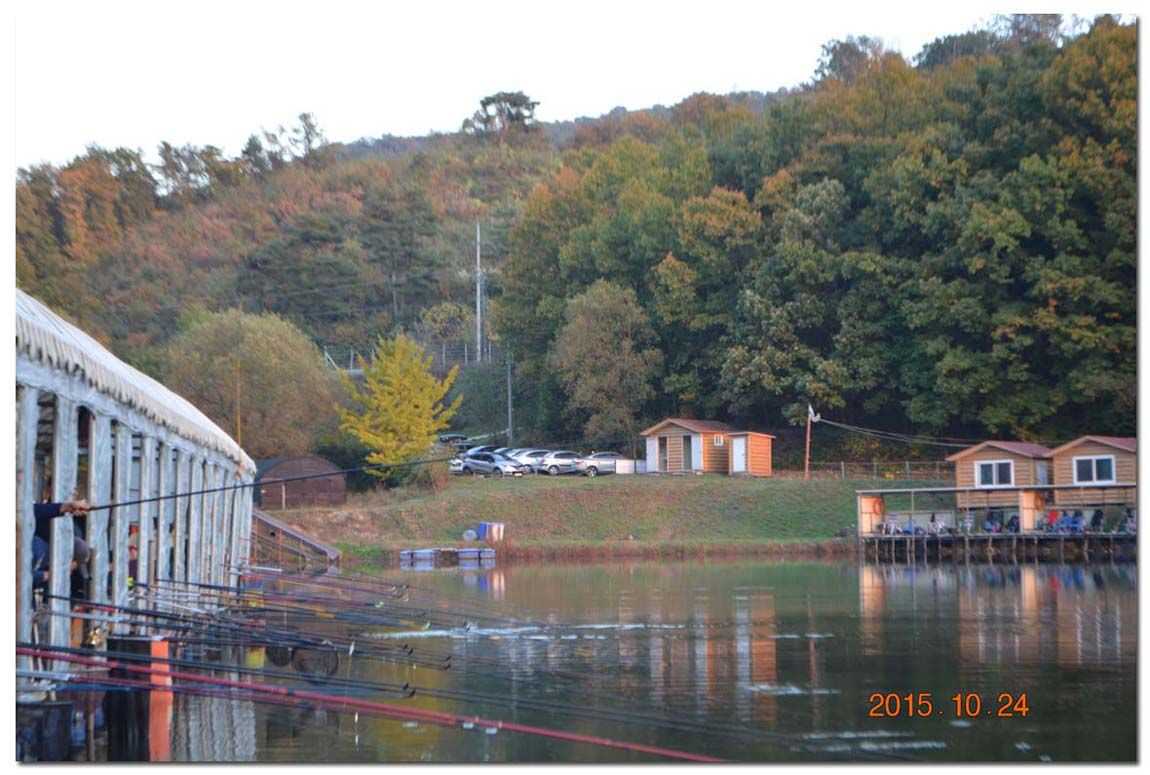 Untitled-1 copy 24.jpg