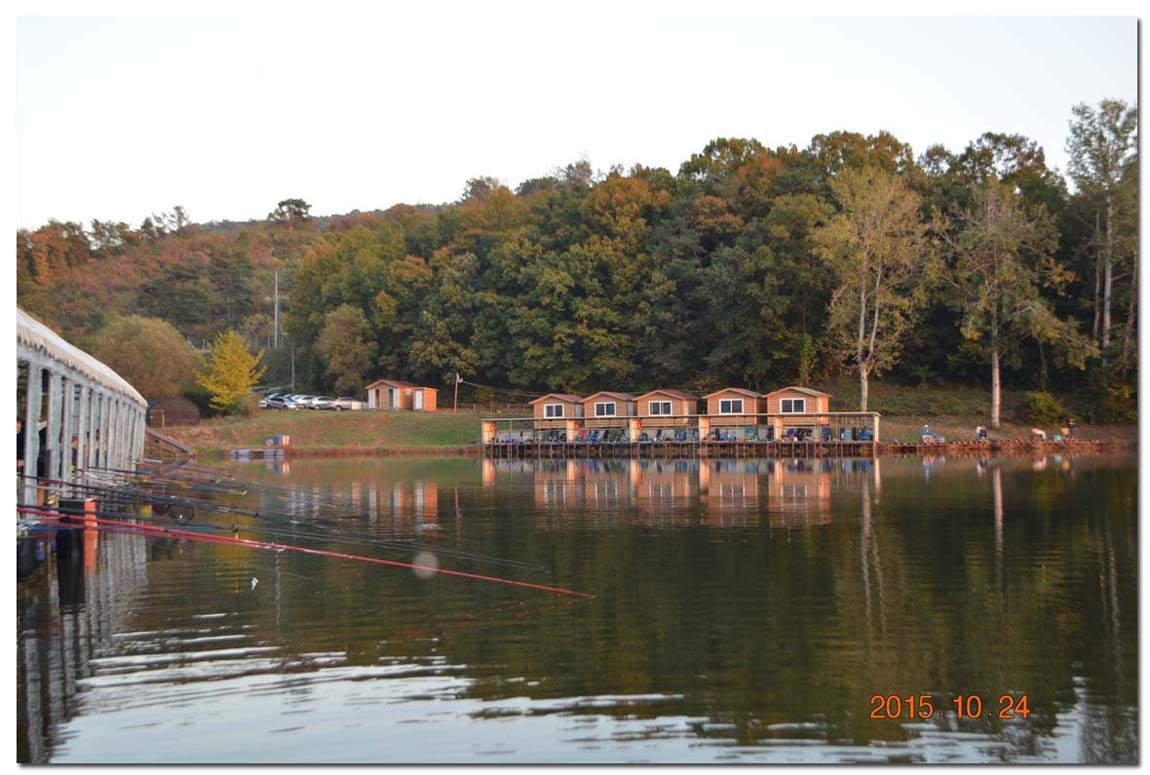 Untitled-1 copy 25.jpg